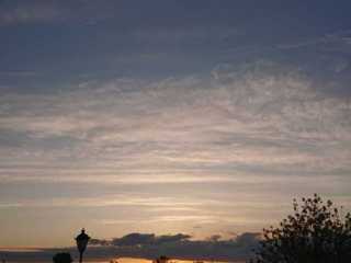 IMG-20200519-WA0001