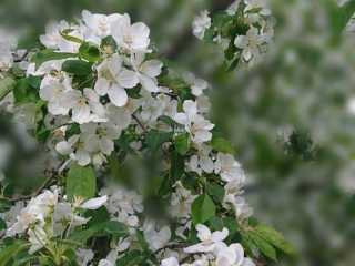 IMG-20200519-WA0005