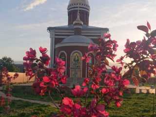 IMG-20200519-WA0012