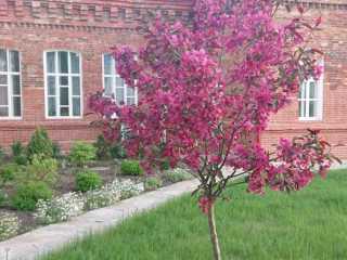 IMG-20200519-WA0015