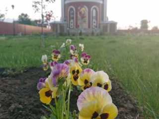 IMG-20200519-WA0017