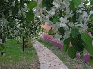 IMG-20200519-WA0018