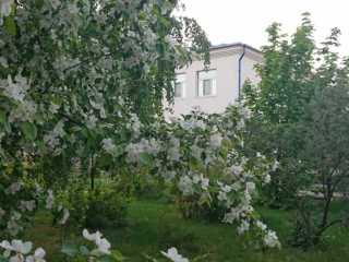 IMG-20200519-WA0021