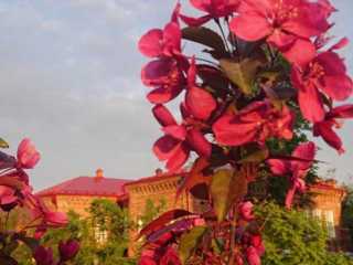 IMG-20200519-WA0023