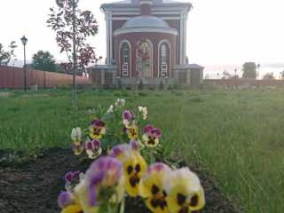 IMG-20200519-WA0025
