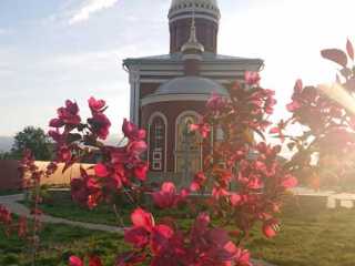 IMG-20200519-WA0028