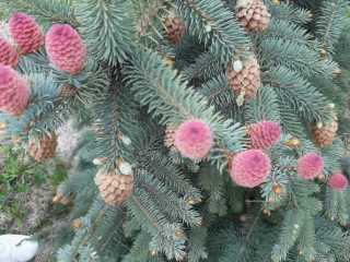 IMG-20200519-WA0034