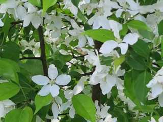 IMG-20200519-WA0035