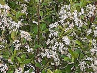 IMG-20200519-WA0038
