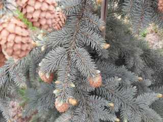 IMG-20200519-WA0046