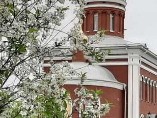 IMG-20200519-WA0047