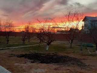 IMG-20200519-WA0053