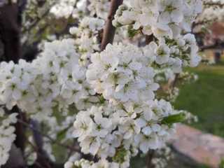 IMG-20200519-WA0060