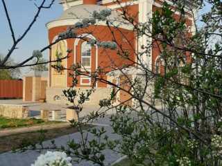 IMG-20200519-WA0061