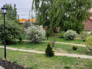 IMG-20200519-WA0062