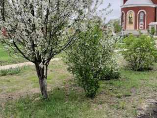 IMG-20200519-WA0063
